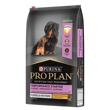 Best starter dog food deals